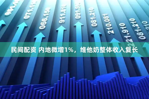 民间配资 内地微增1%，维他奶整体收入复长
